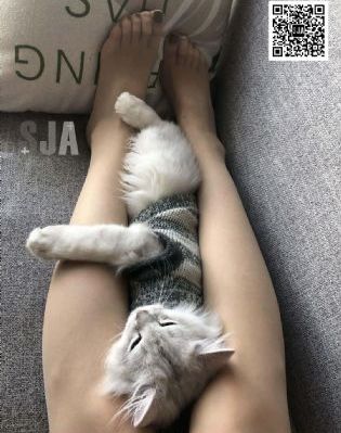 女邻居5_免费高清在线观看