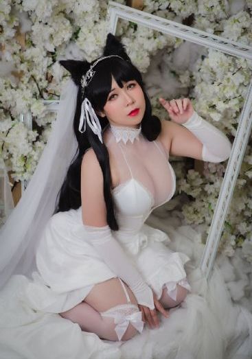 老师晚上好_DVD在线播放观看